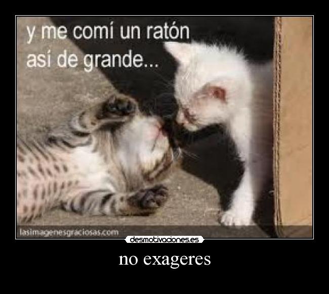 no exageres -