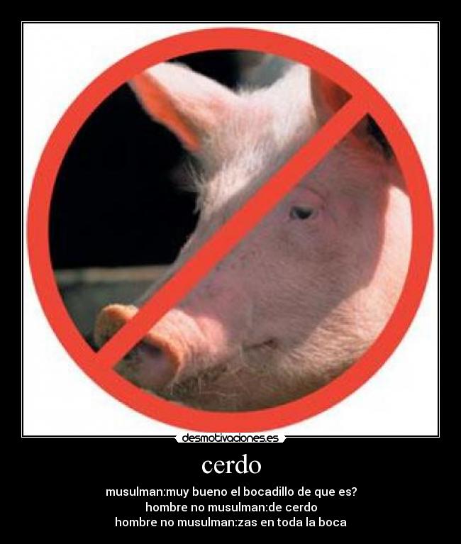 cerdo -