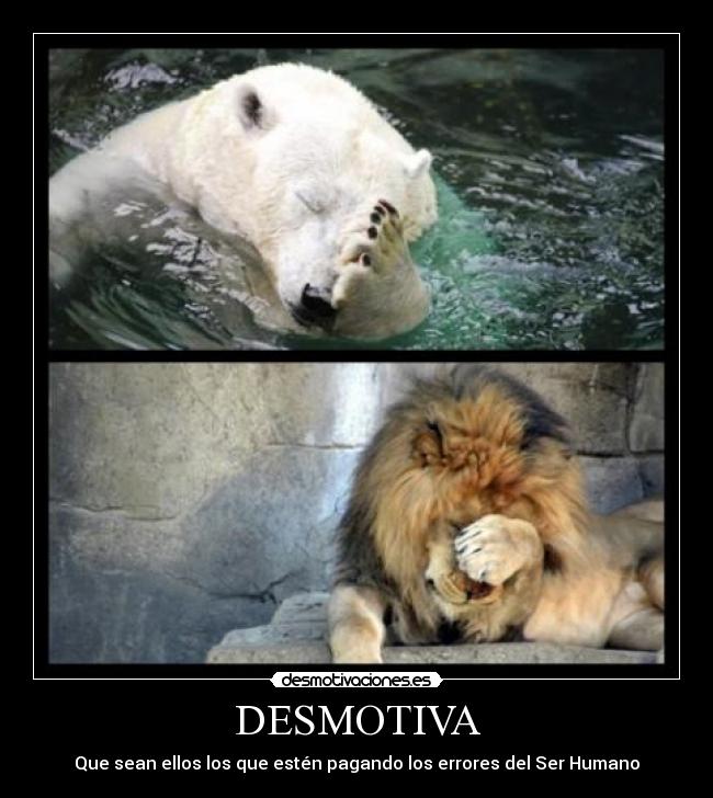 DESMOTIVA - Que sean ellos los que estén pagando los errores del Ser Humano