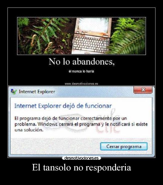 El tansolo no responderia -