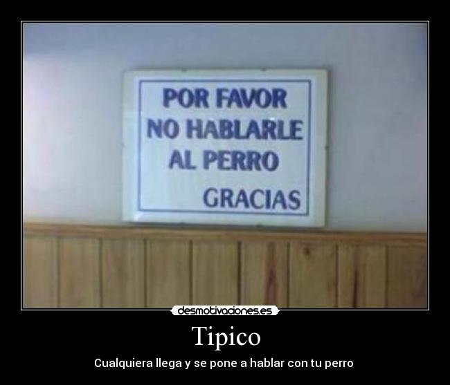 Tipico - Cualquiera llega y se pone a hablar con tu perro