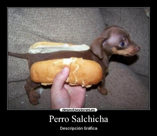 Perro Salchicha - Descripción Gráfica