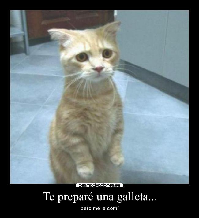 Te preparé una galleta... - pero me la comí