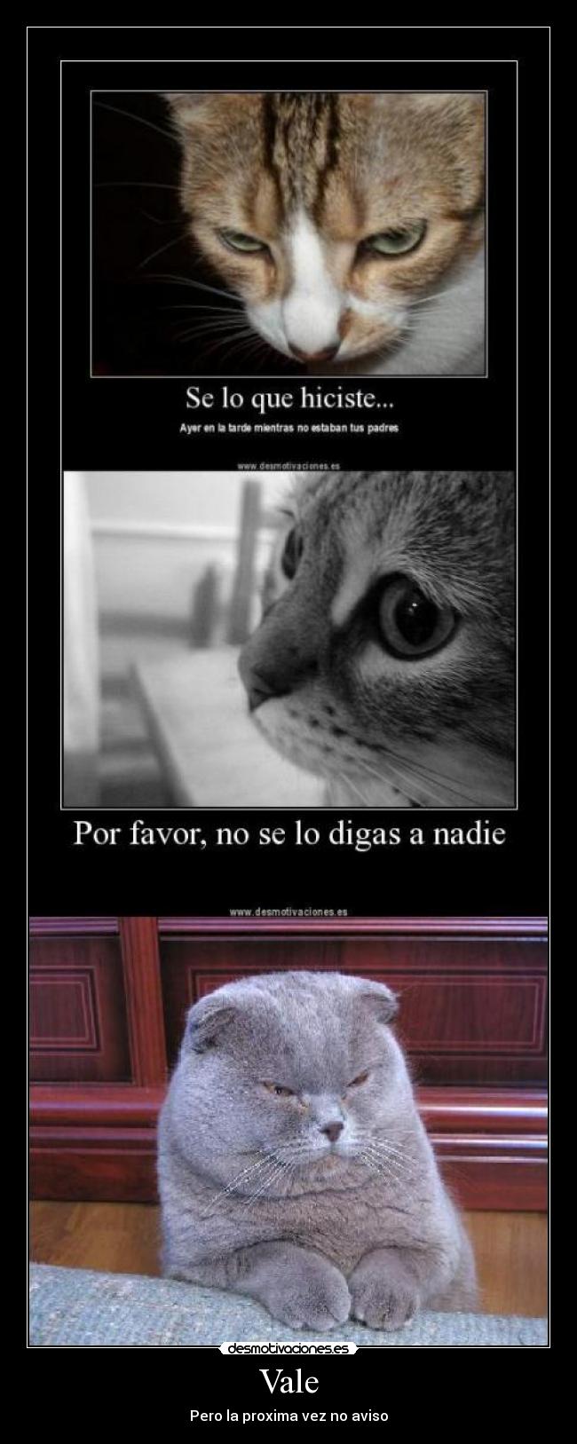 Vale - Pero la proxima vez no aviso