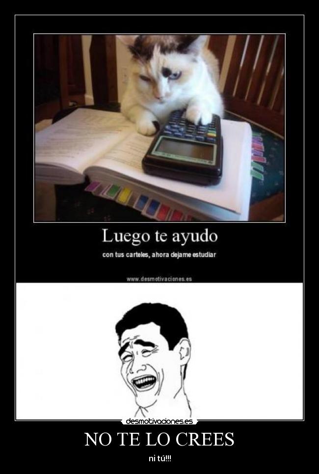 NO TE LO CREES - ni tú!!!