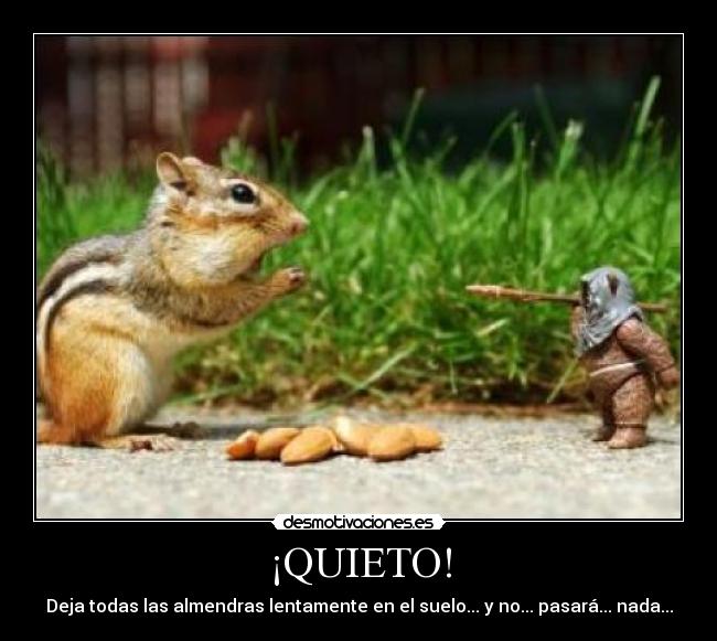 ¡QUIETO! - Deja todas las almendras lentamente en el suelo... y no... pasará... nada...