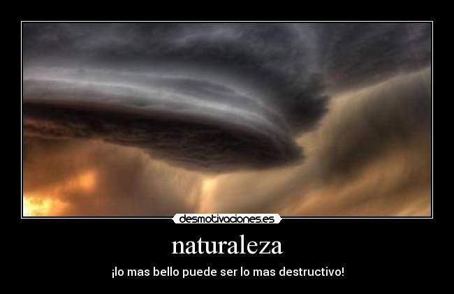 carteles naturaleza luciernaga desmotivaciones