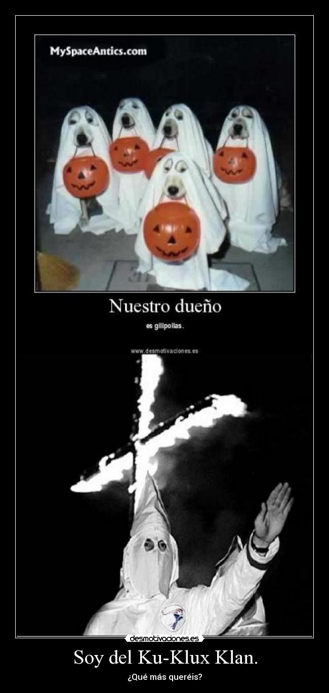 carteles perros gatos racismo halloween ku klux klan blancos negros estados unidos desmotivaciones