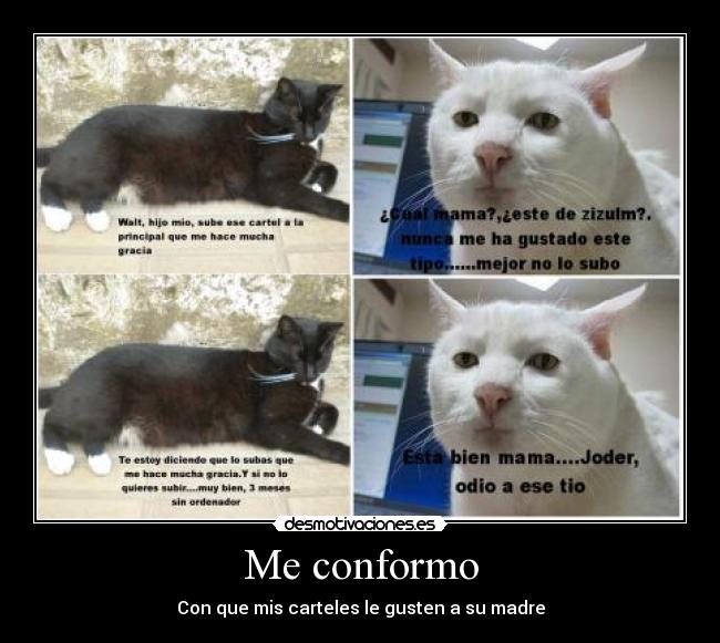Me conformo - Con que mis carteles le gusten a su madre