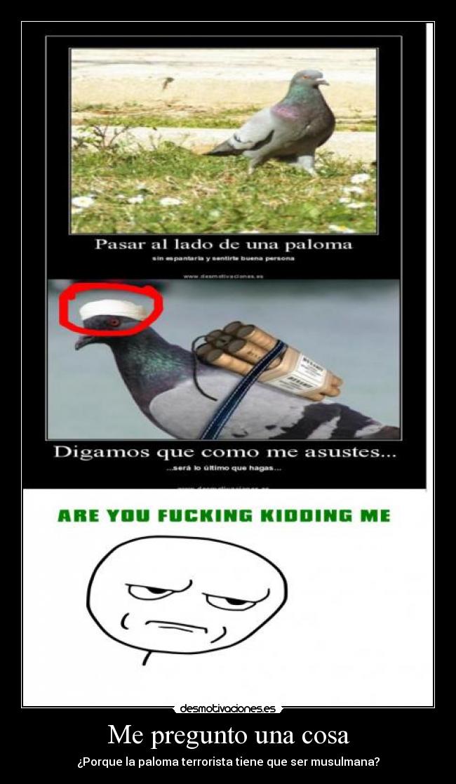 Me pregunto una cosa - 