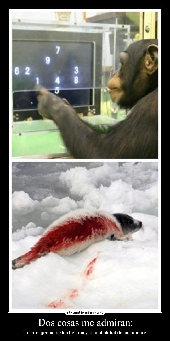 Dos cosas me admiran: - La inteligencia de las bestias y la bestialidad de los hombre