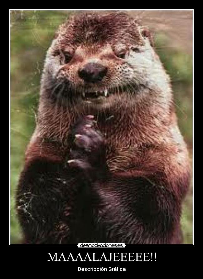 carteles malaje desmotivaciones