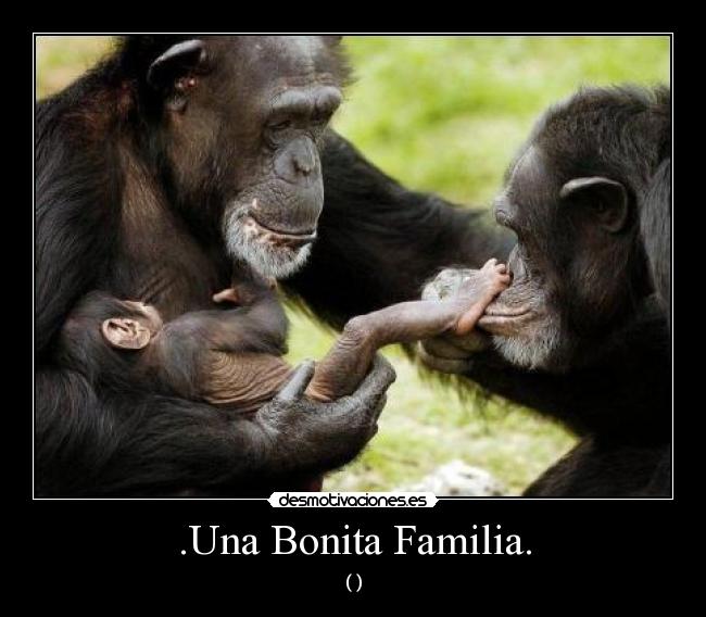 .Una Bonita Familia. -