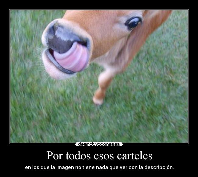 Por todos esos carteles - 