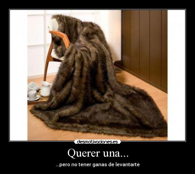 Querer una... - 
