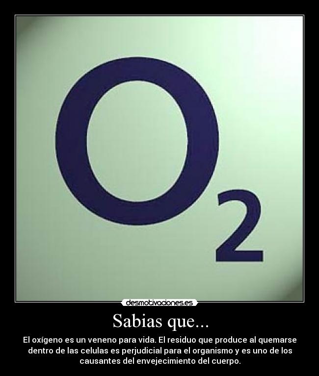 Sabias que... - 