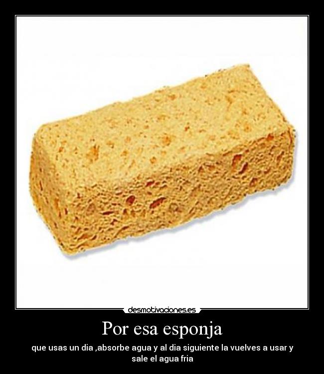 Por esa esponja -