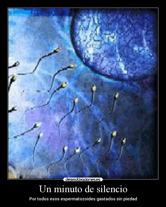 Un minuto de silencio -