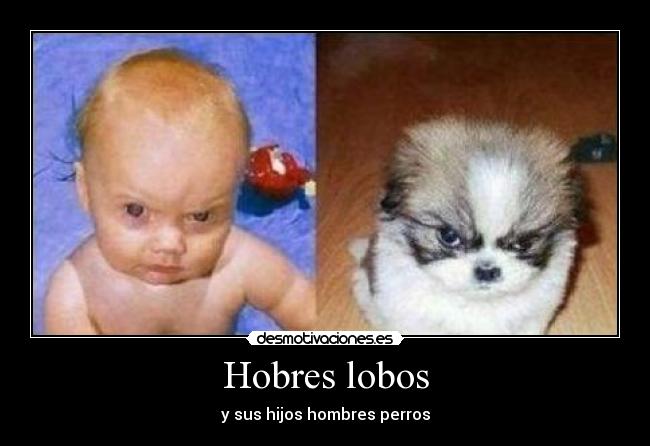 Hobres lobos - y sus hijos hombres perros