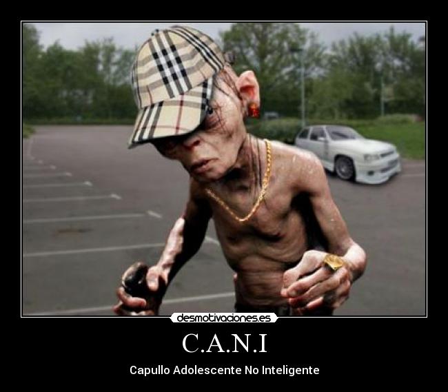 C.A.N.I - 