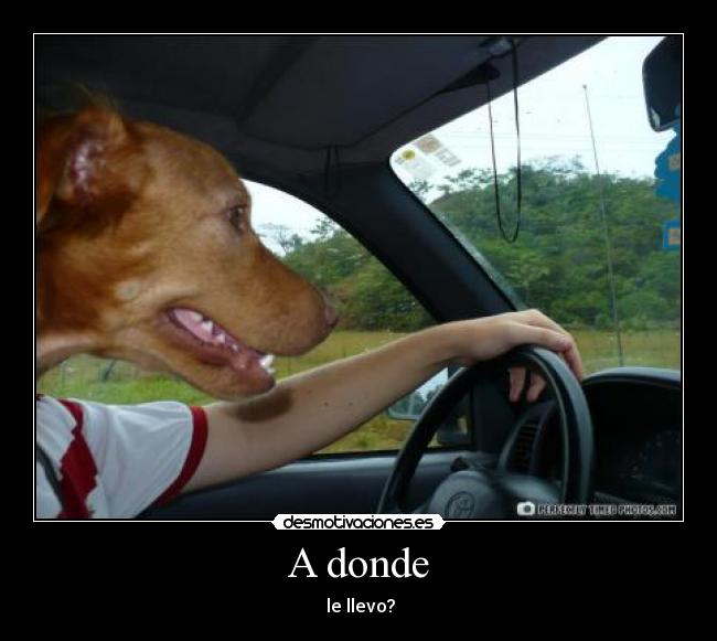 A donde -