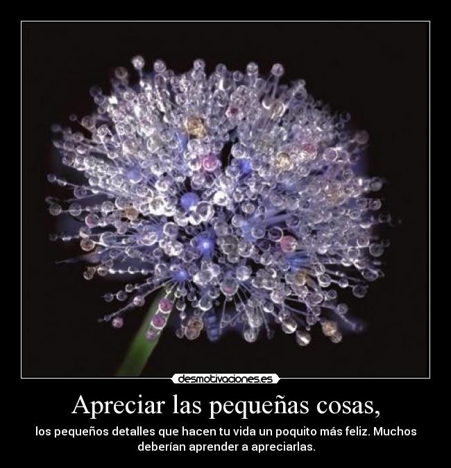 Apreciar las pequeñas cosas, - los pequeños detalles que hacen tu vida un poquito más feliz. Muchos
deberían aprender a apreciarlas.