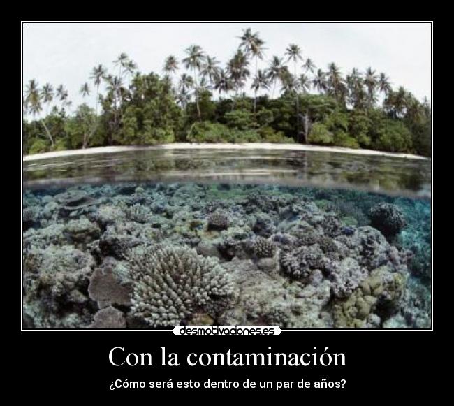 Con la contaminación -