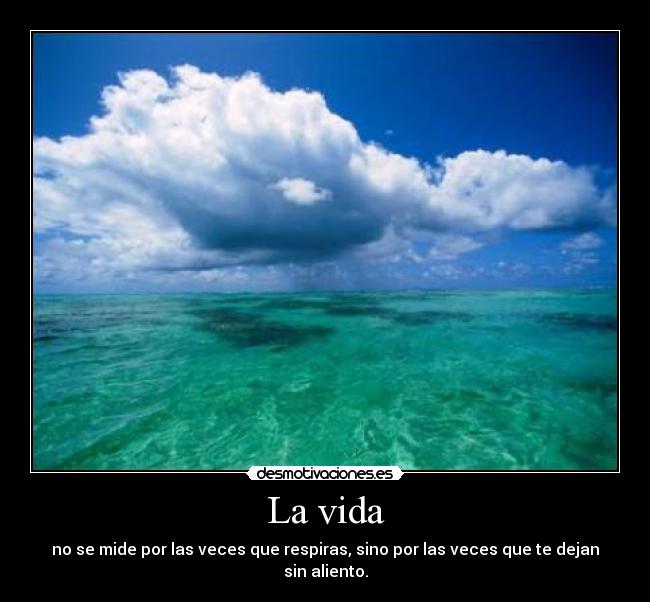 La vida -
