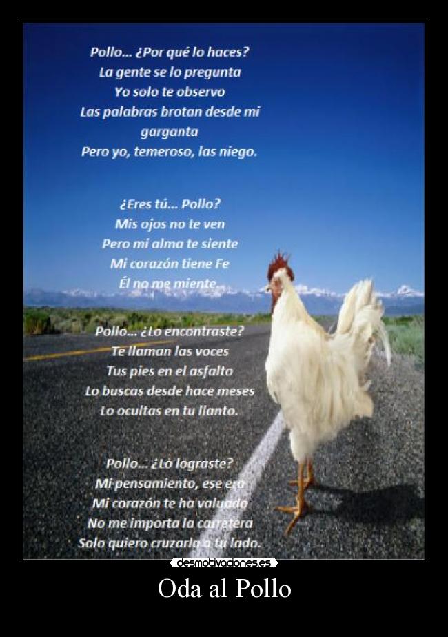 Oda al Pollo -