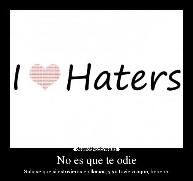 No es que te odie - Sólo sé que si estuvieras en llamas, y yo tuviera agua, bebería.