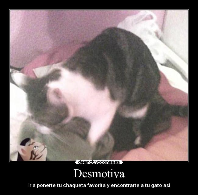 Desmotiva - 