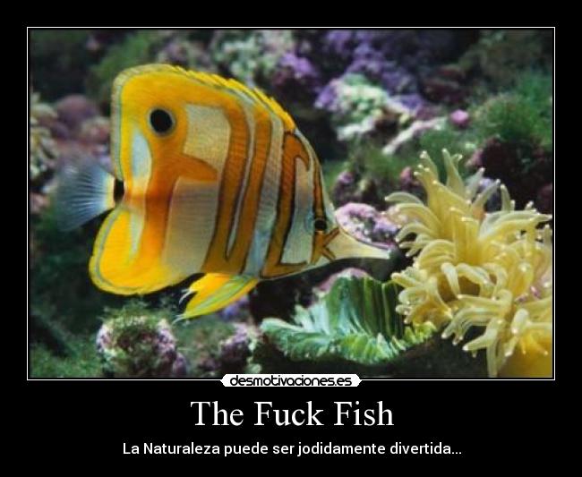 The Fuck Fish - La Naturaleza puede ser jodidamente divertida...
