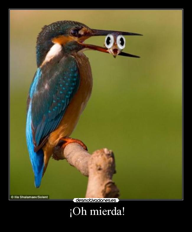 ¡Oh mierda! -