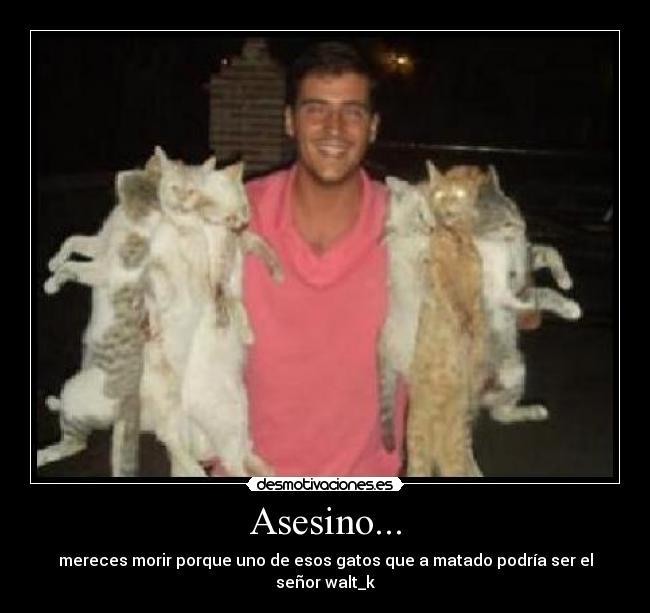 Asesino... - mereces morir porque uno de esos gatos que a matado podría ser el señor walt_k