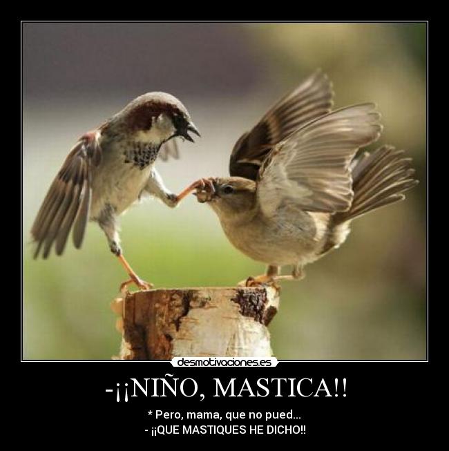 -¡¡NIÑO, MASTICA!! - * Pero, mama, que no pued...
- ¡¡QUE MASTIQUES HE DICHO!!