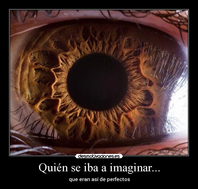 Quién se iba a imaginar... - 