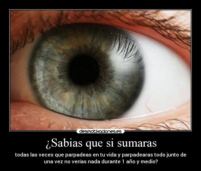 ¿Sabias que si sumaras -