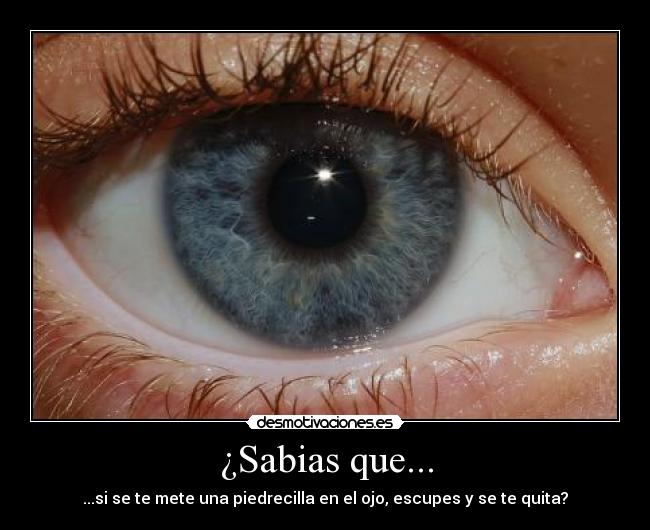 ¿Sabias que... - 