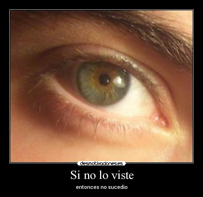 Si no lo viste - 
