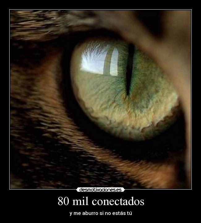 80 mil conectados - y me aburro si no estás tú