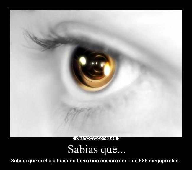 Sabias que... - Sabias que si el ojo humano fuera una camara seria de 585 megapixeles...