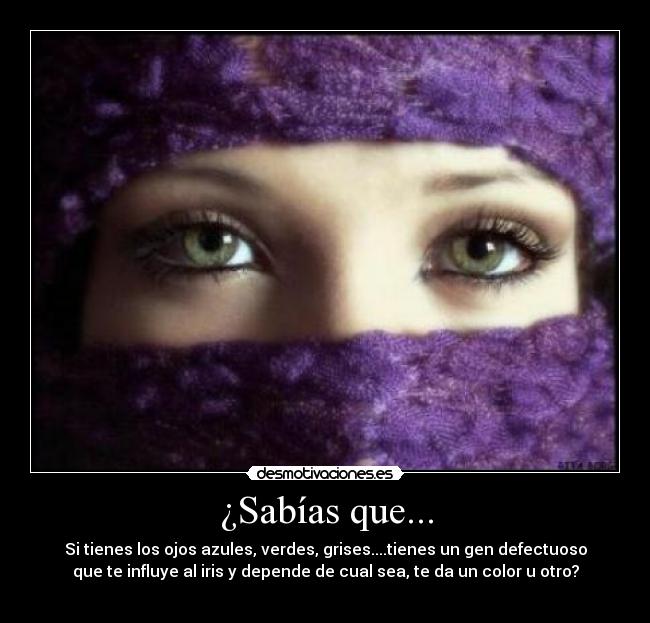 ¿Sabías que... - 