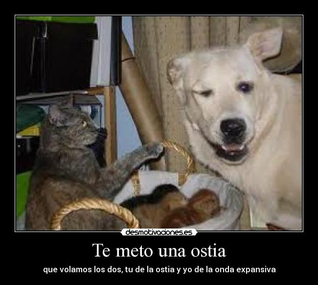 Te meto una ostia - que volamos los dos, tu de la ostia y yo de la onda expansiva