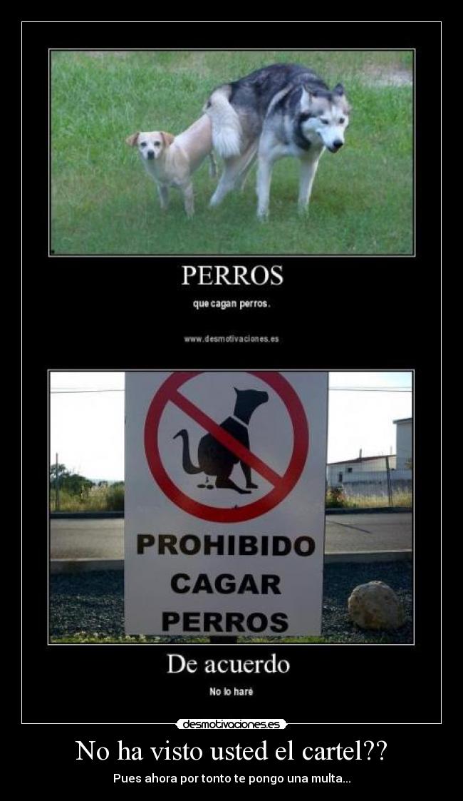 No ha visto usted el cartel?? -