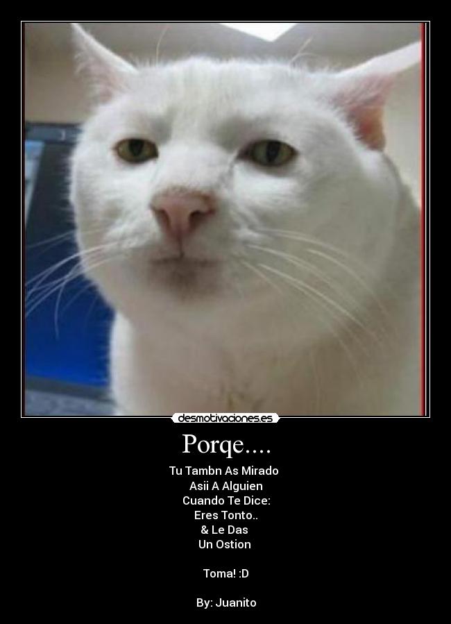 Porqe.... - 