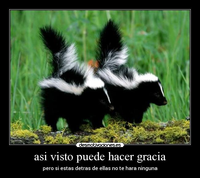 asi visto puede hacer gracia - pero si estas detras de ellas no te hara ninguna