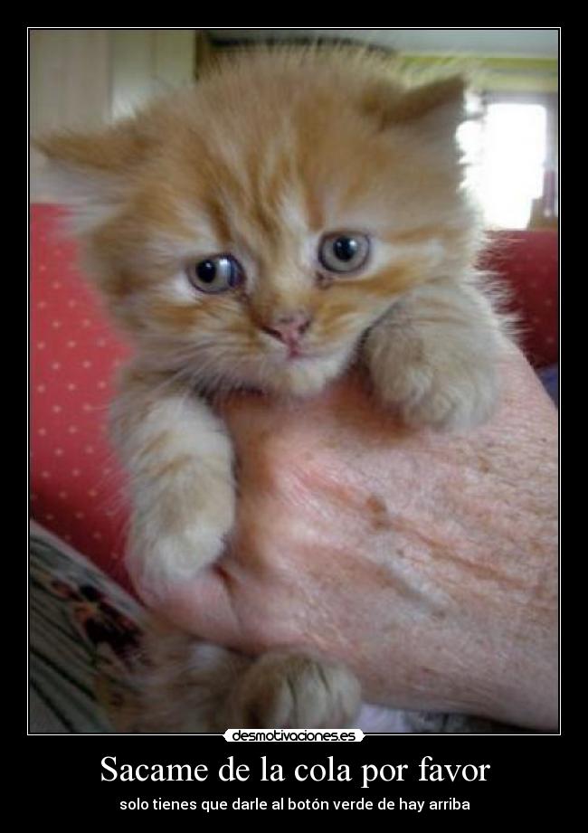 Sacame de la cola por favor -