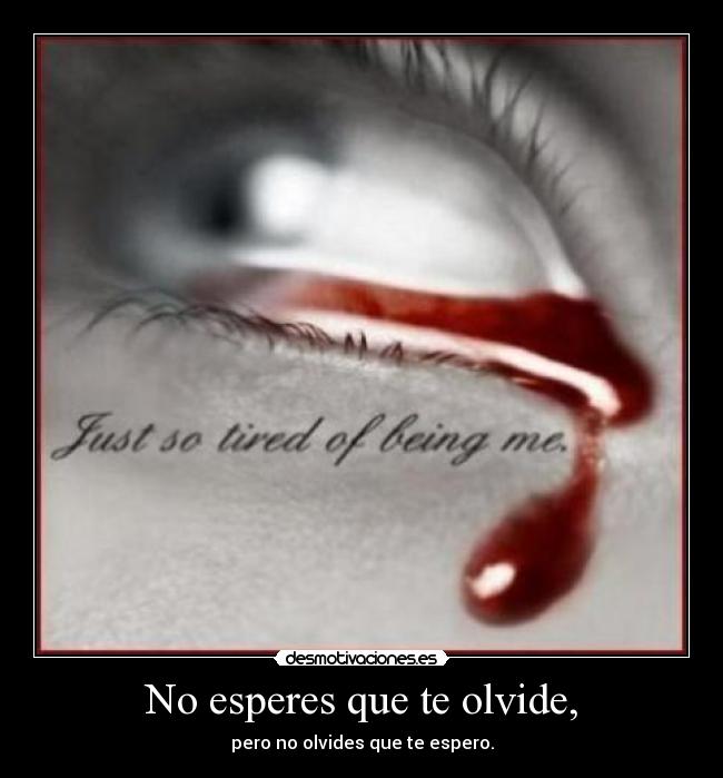 No esperes que te olvide, -