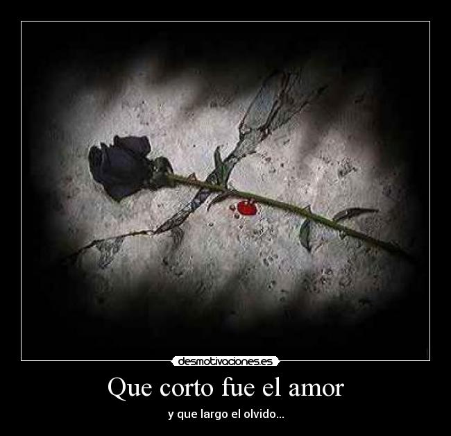 Que corto fue el amor - y que largo el olvido...