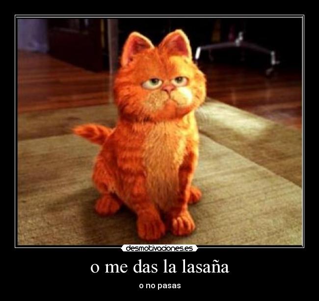 o me das la lasaña - o no pasas